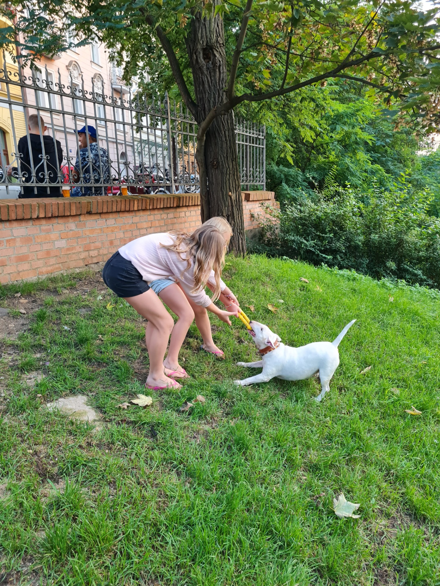 Tak hlavně s citem:)